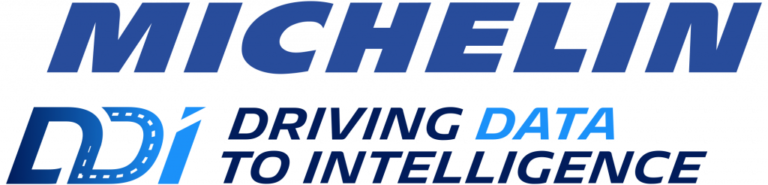 MICHELIN DDI